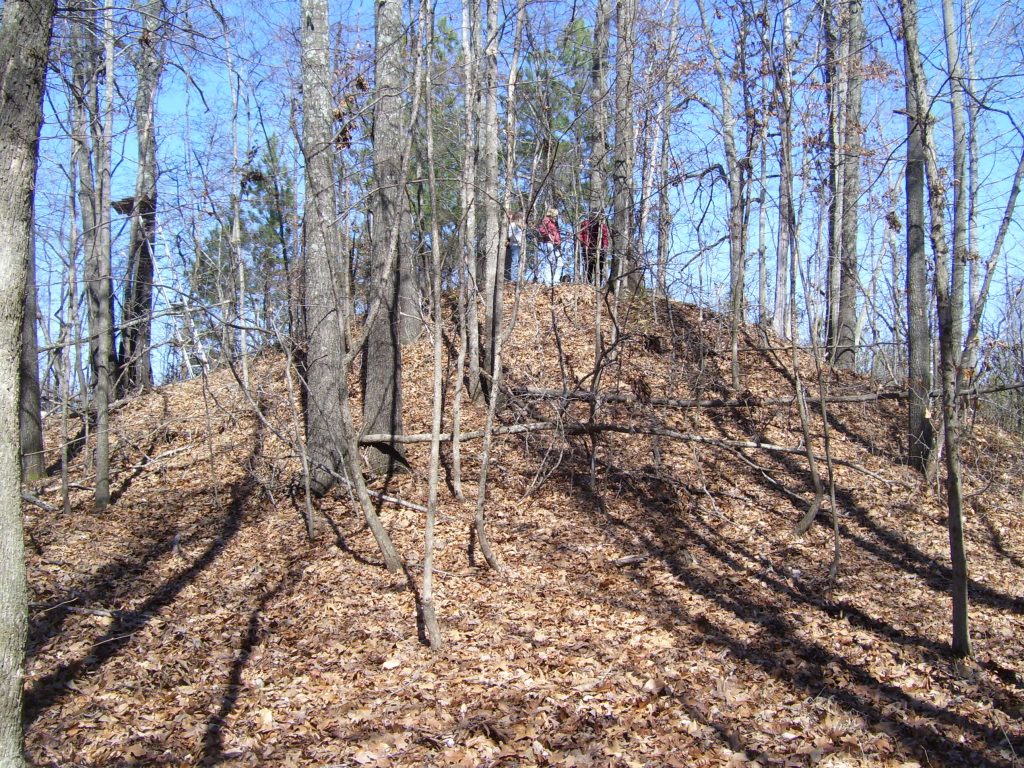Alexander Mound in Tennessee Photo credit: Jessica Crawford