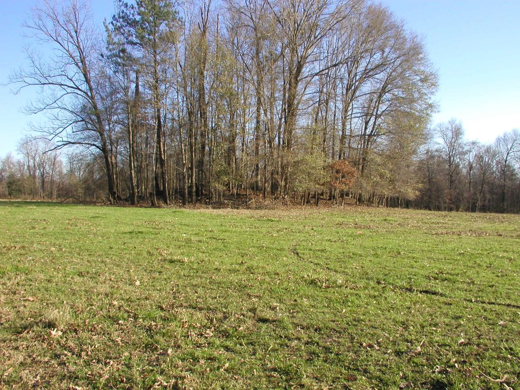 Bates Mound in Mississippi Photo credit: Jessica Crawford