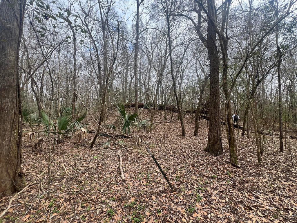 Bayou Portage Guidry Mounds in Louisiana Photo: Jessica Crawford