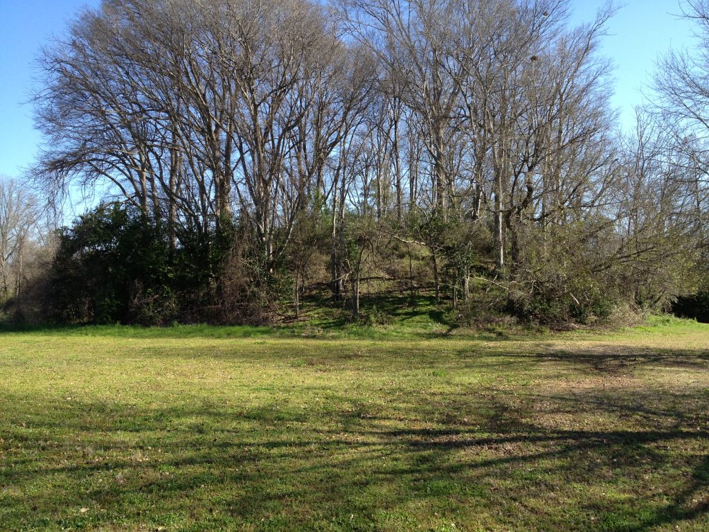 Cary Mound in Mississippi. Photo credit: Jessica Crawford