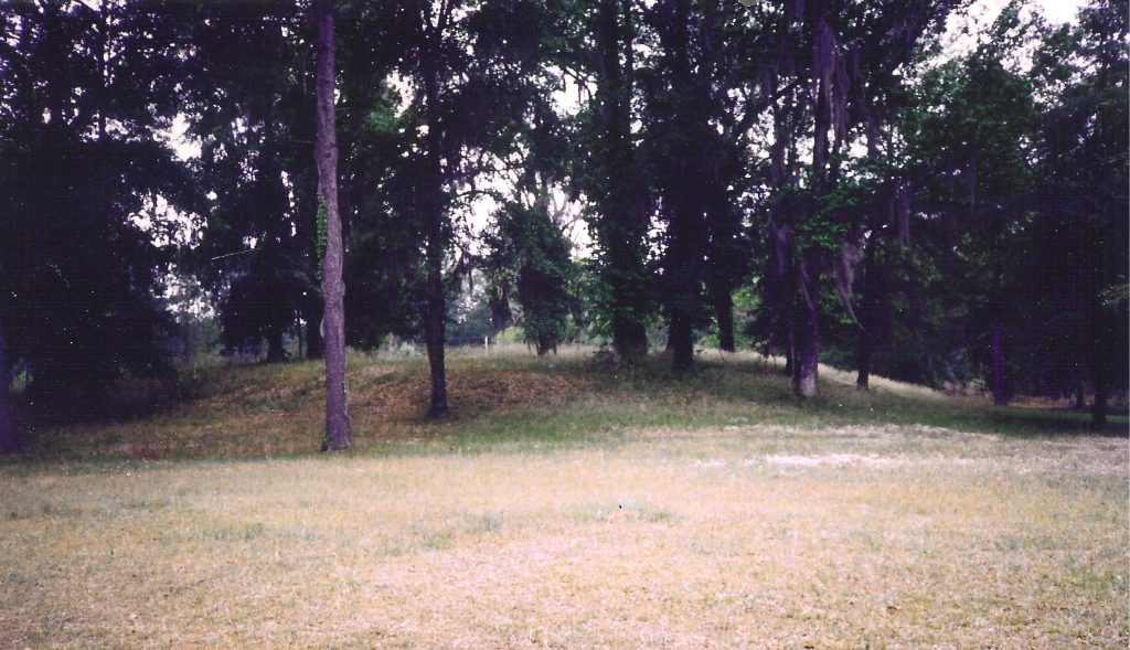 Sawyer Mound in Georgia Photo credit: Jessica Crawford