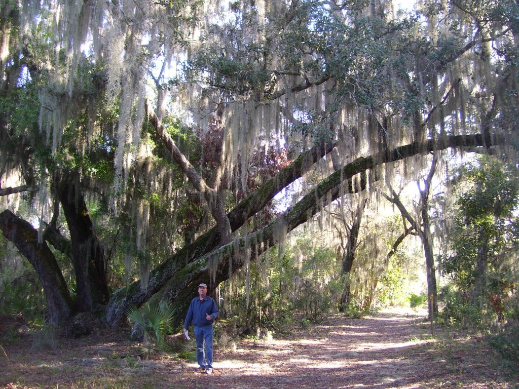Conservancy president emeritus Mark Michel at the Walrave site on Drayton Island, Florida. Photo credit: Jessica Crawford