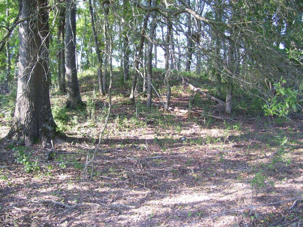 Waters Pond Mound in Florida Photo credit: Jessica Crawford