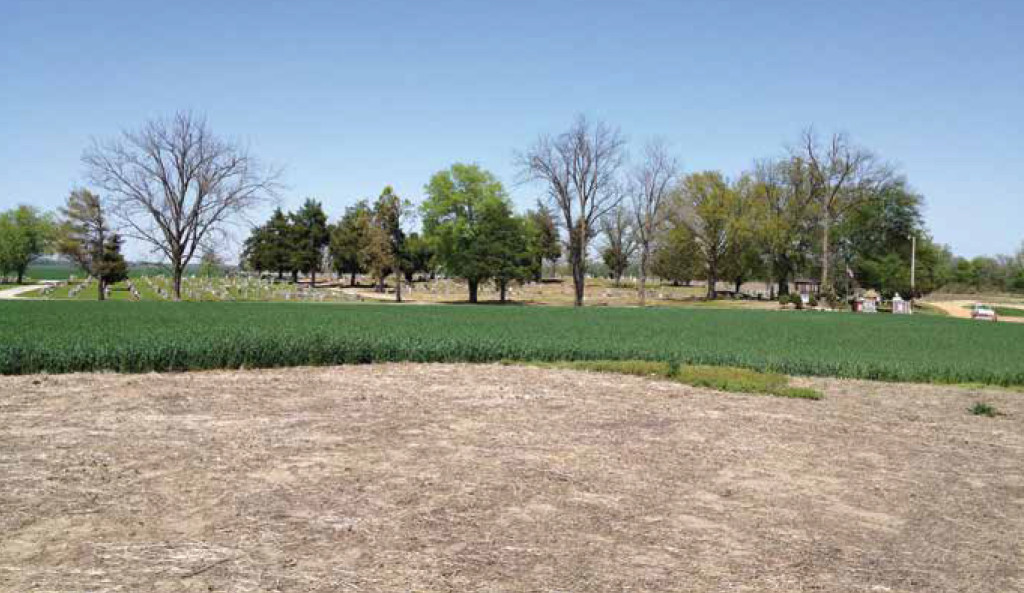 Potter Mound