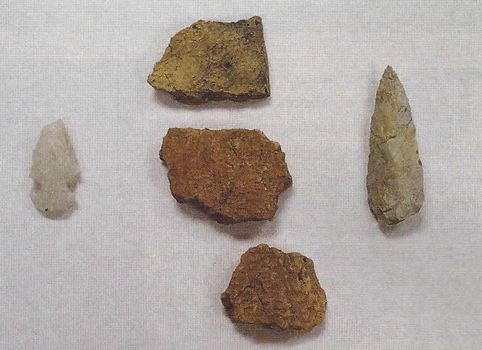 Cashie pottery sherds and projectile points recovered from the site.