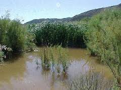 Mojave River