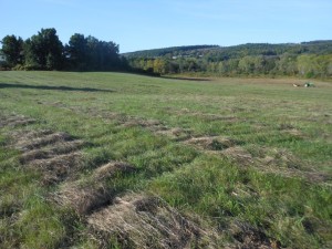 Lamoka Lake Preserve contains an archaic site, NY.