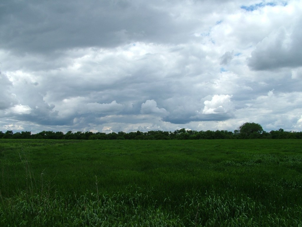 The Biesterfeldt Site Archaeological Preserve, North Dakota. Lush grass, few neighbors, no problems.