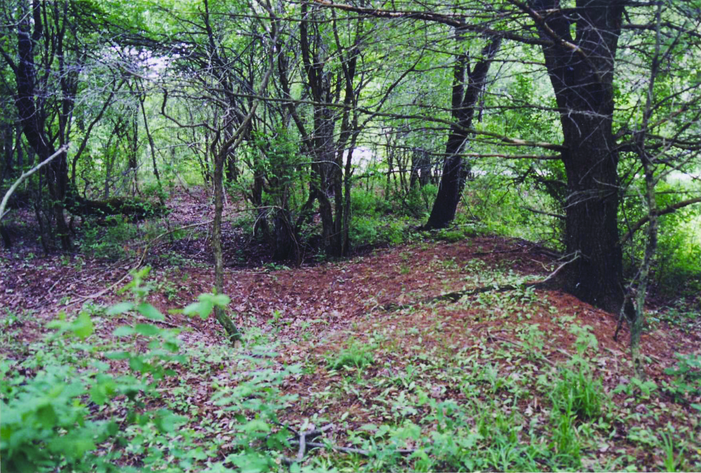 The circular earthwork is located in a wooded area. Archaeologists don’t know what purpose earthworks served.