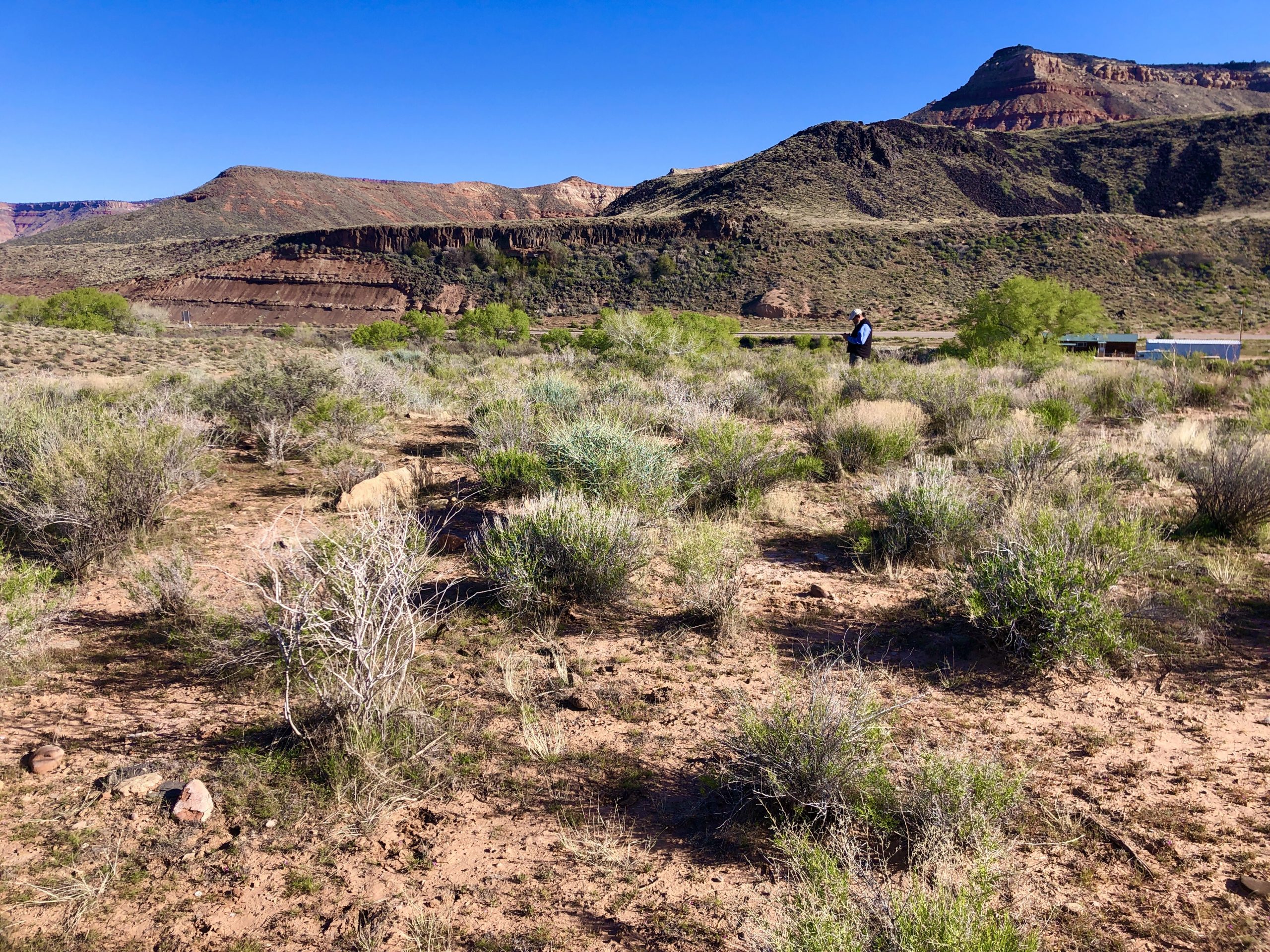 Photo showing a desert landscape with small shrubs in the foreground and flat-topped mesas beyond.