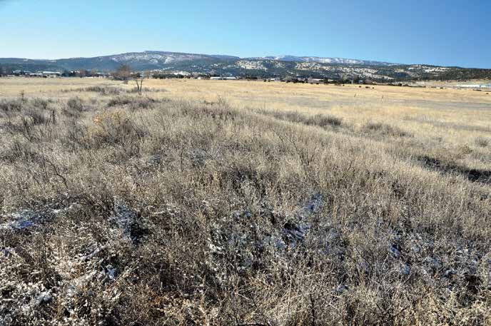 The pueblo is now a grass-covered rubble mound that contains about sixty rooms. Credit: Chaz Evans/The Archaeological Conservancy.