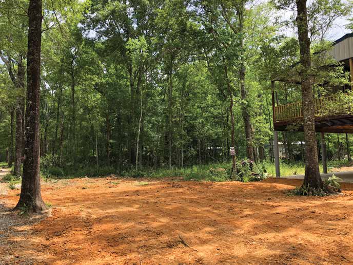 In spring and summer, the Mount Bayou Mound is almost completely obscured by the thick growth of the Louisiana riverine environment. Credit:JESSICA CRAWFORD