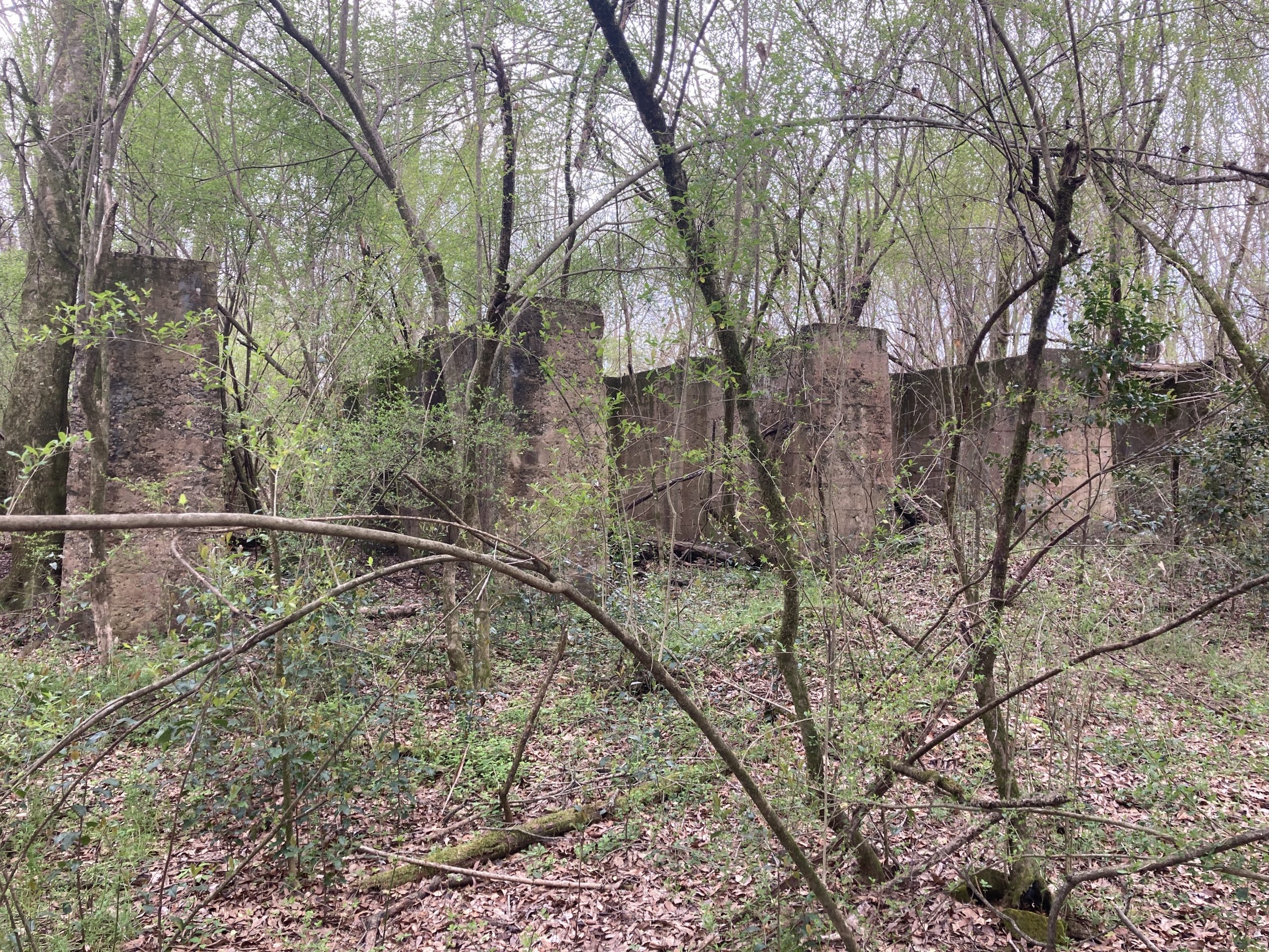 photo of wooded area with several brick walls lined up in the background