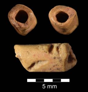 photo showing three views of a crude bone bead- top down, bottom up and sideways