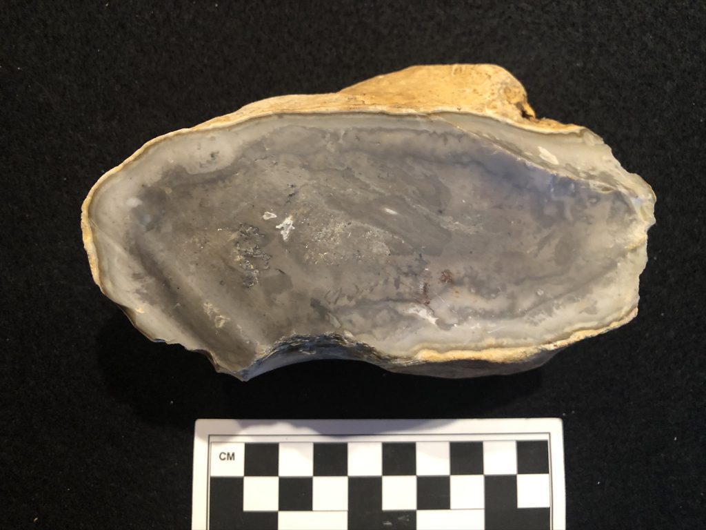 Grand Meadow Chert (raw material)