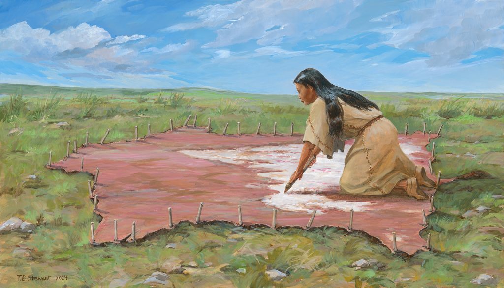 Painting that shows a woman kneeling on a buffalo hide that's been spread out and staked. She is using a scraper to clean the hide.